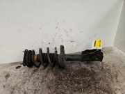 Federbein rechts vorne Honda Civic VIII FN, FK MGA5881