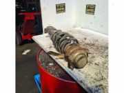 Federbein links vorne Daihatsu YRV M2