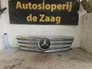 Kühlergrill Mercedes-Benz B-Klasse Sports Tourer W245