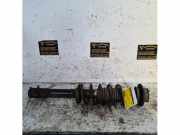 Federbein links vorne Daihatsu Sirion M3