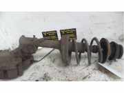Federbein links vorne Renault Twingo II CN0 13214353