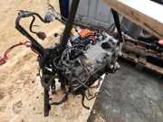 Motor ohne Anbauteile (Benzin) Renault Clio III Grandtour R D4F784