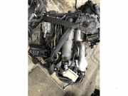 Motor ohne Anbauteile (Diesel) Renault Clio II B