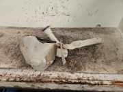 Behälter Scheibenwaschanlage Peugeot 208 I CA, CC 968398868000