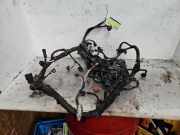 Kabelbaum Ford Fiesta VI CB1, CCN C1BT12A522