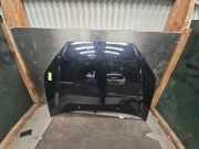 Motorhaube Ford Focus DAW, DBW