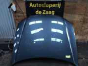 Motorhaube Audi A4 8E, B7