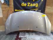 Motorhaube Citroen DS3 SA