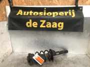 Federbein rechts vorne Seat Toledo III 5P 1K0413031BT