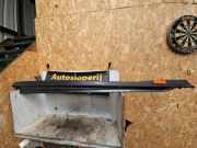 Schwellerleisten Ford Focus III DYB