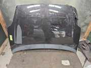 Motorhaube Fiat Punto Evo 199