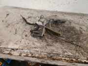 Motorhaubenscharnier Hyundai i10 PA