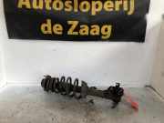 Federbein rechts vorne Daihatsu Sirion M1