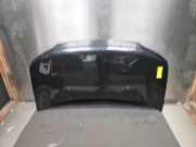 Motorhaube Daihatsu Materia M4