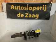 Federbein rechts vorne Ford Focus DAW, DBW