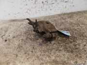 Bremszange links vorne Toyota Starlet P9