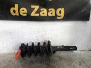 Federbein links vorne Skoda Octavia II Kombi 1Z