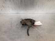 Bremszange links hinten Toyota Yaris P1