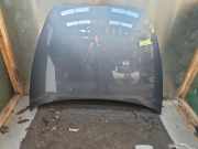 Motorhaube Volvo V50 545