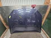 Motorhaube Fiat Croma 194