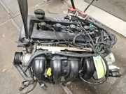 Motor ohne Anbauteile (Benzin) Ford Focus C-Max DM2