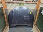 Motorhaube Citroen C5 III RD