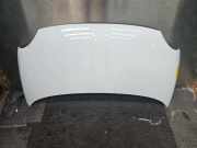 Motorhaube Fiat 500 312