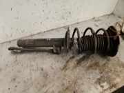 Federbein rechts vorne BMW 1er F20