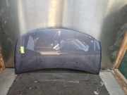 Motorhaube Renault Clio III BR0/1, CR0/1