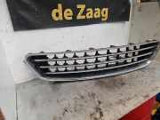 Kühlergrill Mini Mini Countryman R60