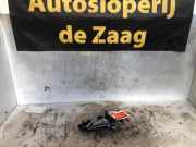 Schalthebelknopf Ford Focus III DYB