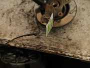 Achsschenkel rechts vorne Renault Clio Grandtour IV R