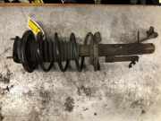 Federbein rechts vorne Ford Focus DAW, DBW