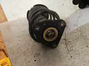 Federbein links vorne Ford Focus II Stufenheck DB, DH, FCH