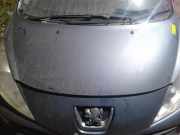 Motorhaube Peugeot 207