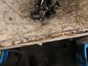 Einspritzdüse Mini Mini Coupe R58 0445110601