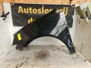 Kotflügel links vorne VW Polo IV 9N, 9A