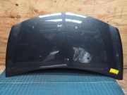 Motorhaube Renault Clio III BR0/1, CR0/1