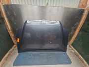 Motorhaube Fiat Doblo Van 119, 223