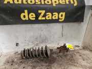 Federbein rechts vorne Daihatsu Sirion M1