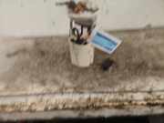 Kraftstofffördereinheit Fiat Panda 169 46798695