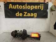 Federbein links vorne Renault Twingo II CN0