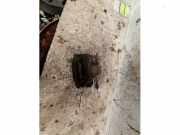 Bremszange links vorne Fiat Grande Punto 199
