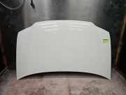 Motorhaube VW Caddy III Kasten 2KA