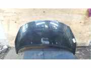 Motorhaube Peugeot 207 SW WK