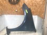 Kotflügel links vorne Renault Clio III BR0/1, CR0/1