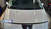 Motorhaube Peugeot 3008 I 7901Q8
