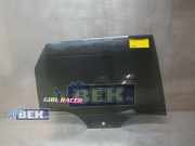 Türscheibe rechts hinten VW Polo VI AW 2G4845206B