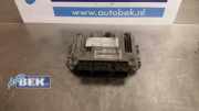 Steuergerät für Einspritzanlage Renault Scenic II JM 8200310863