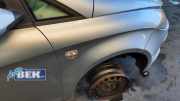 Kotflügel rechts vorne Seat Toledo III 5P 5P0821022A